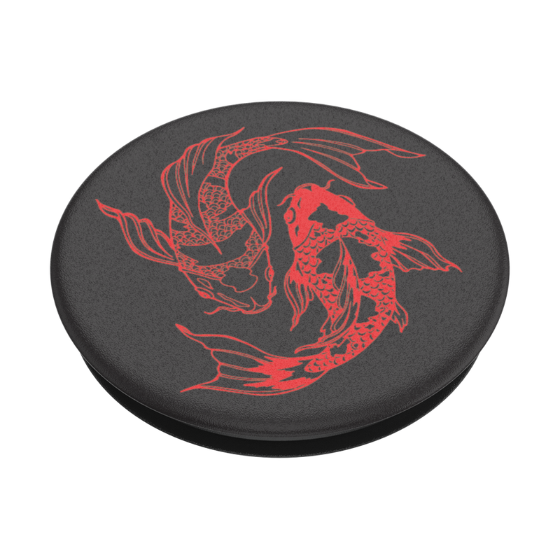 So Koi image number 2