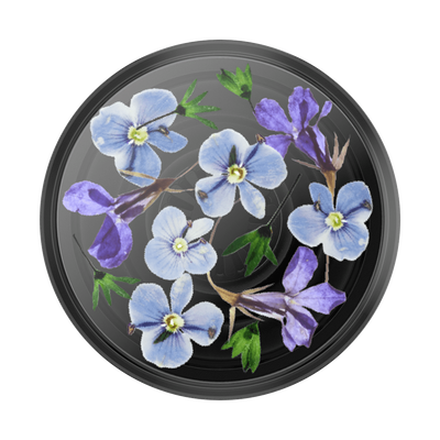 Translucent Black Night Garden