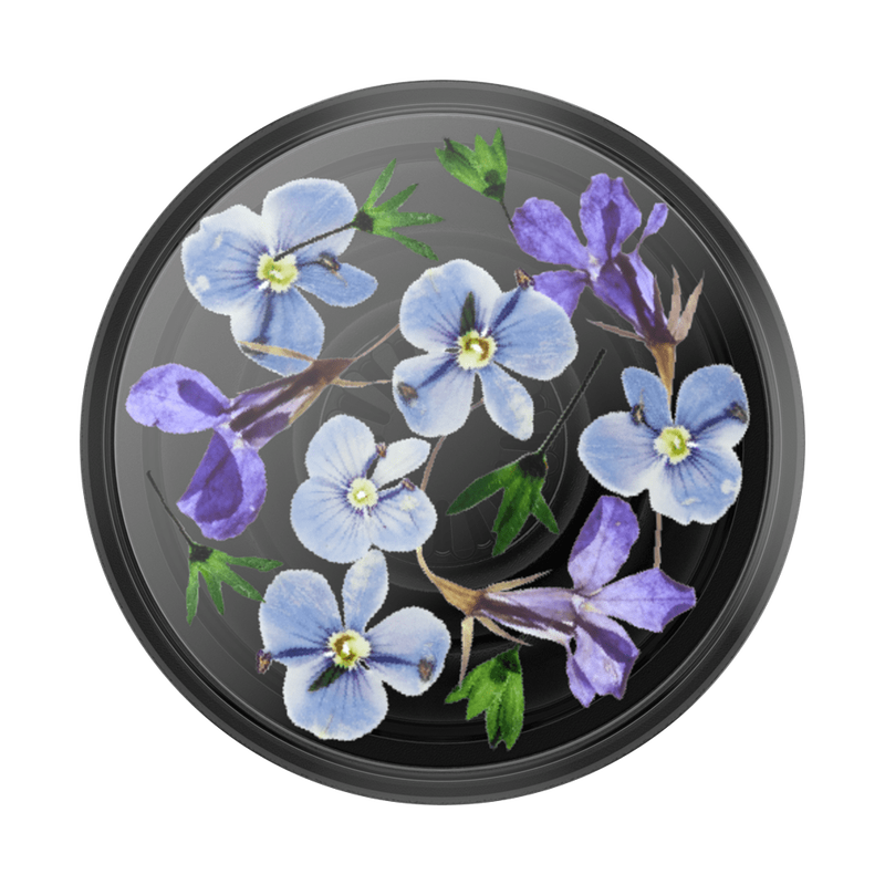 Translucent Black Night Garden — Adhesive PopGrip image number 0