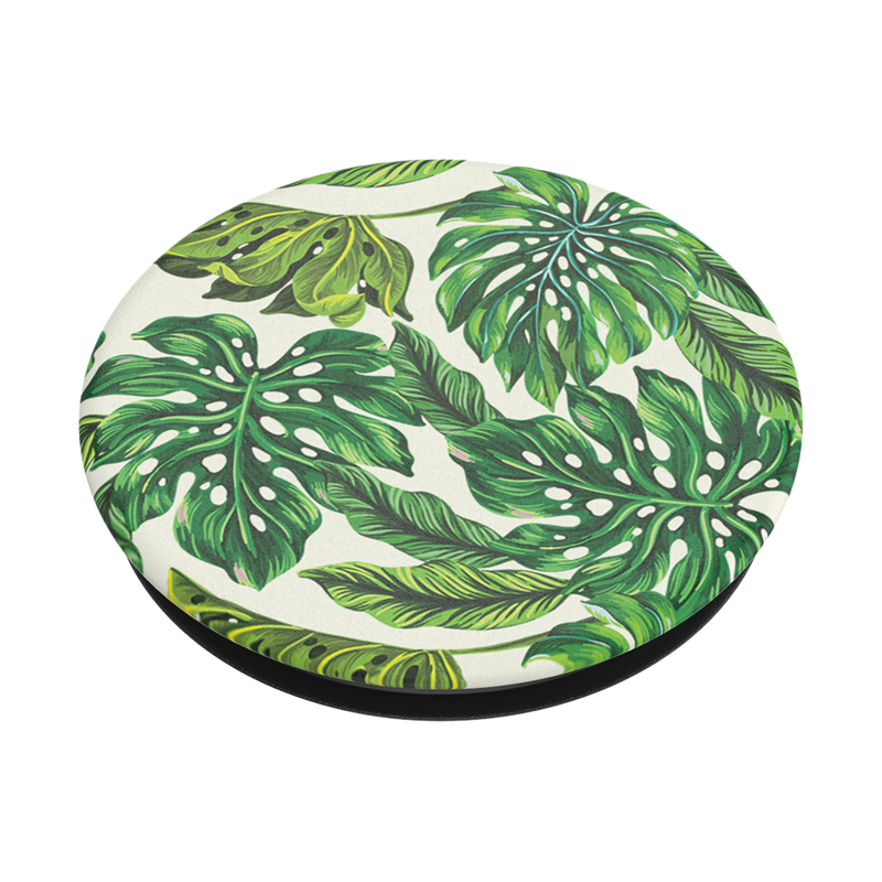 Monstera Deliciosa — Adhesive PopGrip image number 2