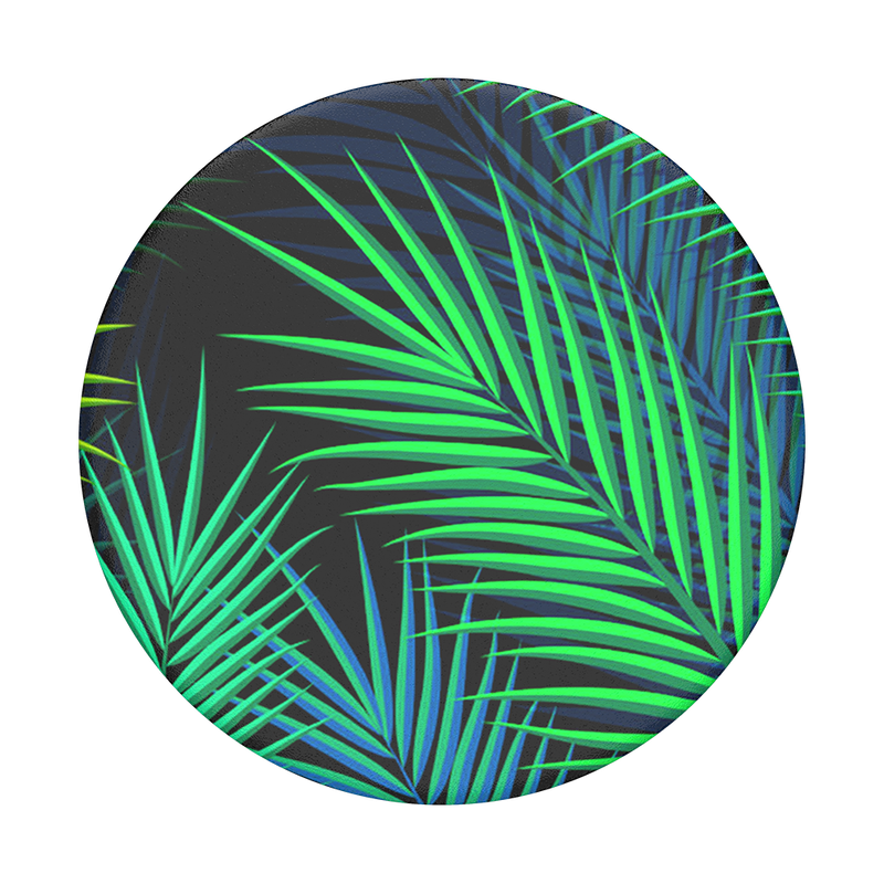Midnight Palms image number 0