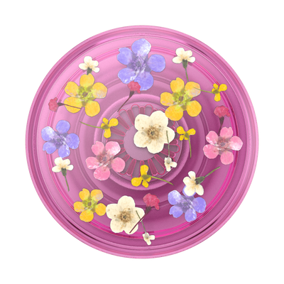 Traslucido en Flores