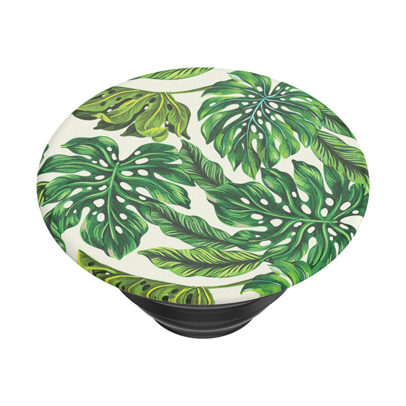 Monstera Deliciosa — Adhesive PopGrip image number 7