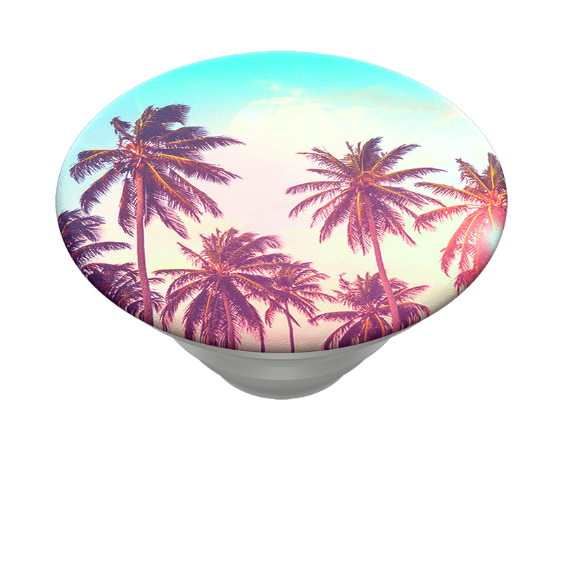 Palm Trees image number 7