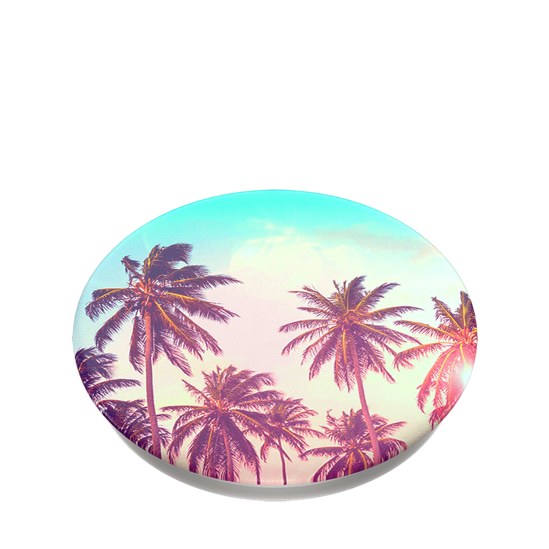 Palm Trees image number 2