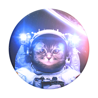 Catstronaut