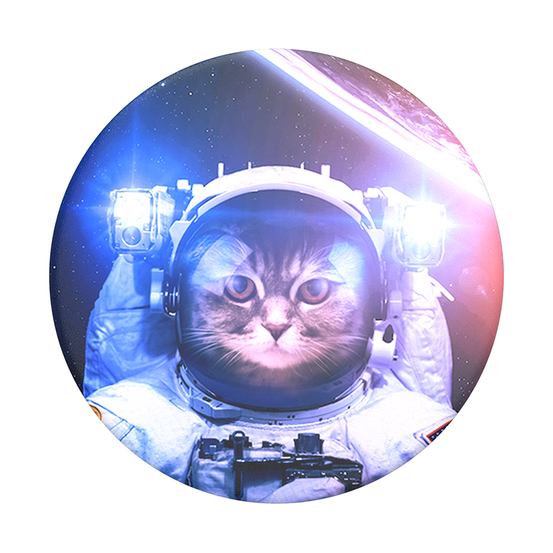 Gato astronauta image number 0