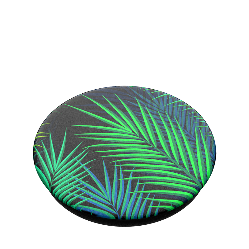 Midnight Palms image number 2