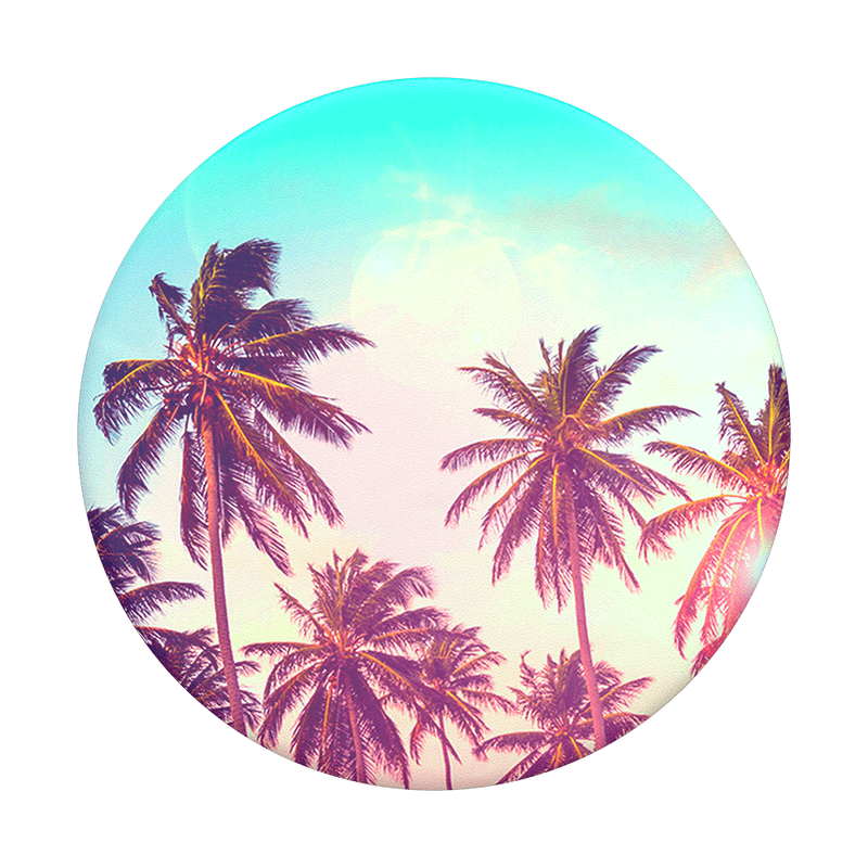 Palm Trees image number 0
