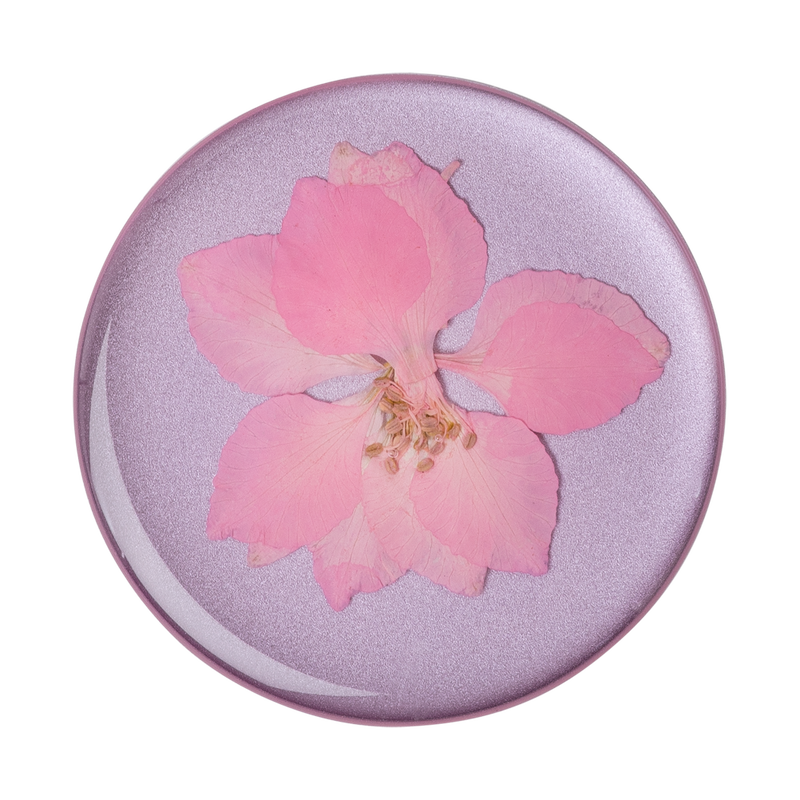 Pressed Flower Delphinium Pink image number 0