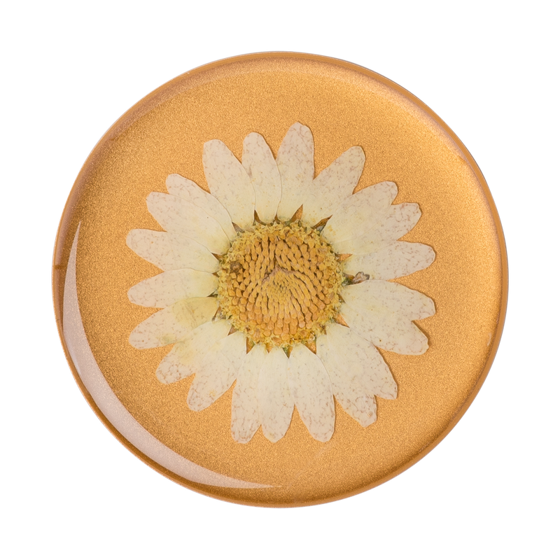 Pressed Flower White Daisy image number 0