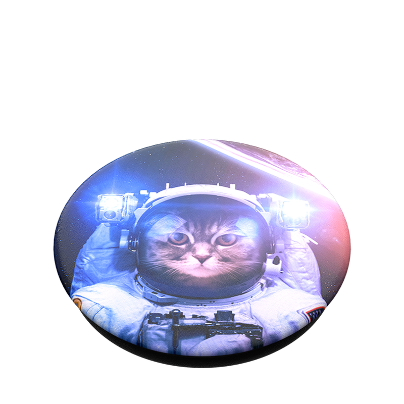 Gato astronauta image number 2