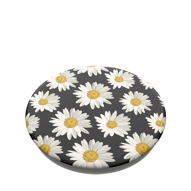 Daisies image number 2