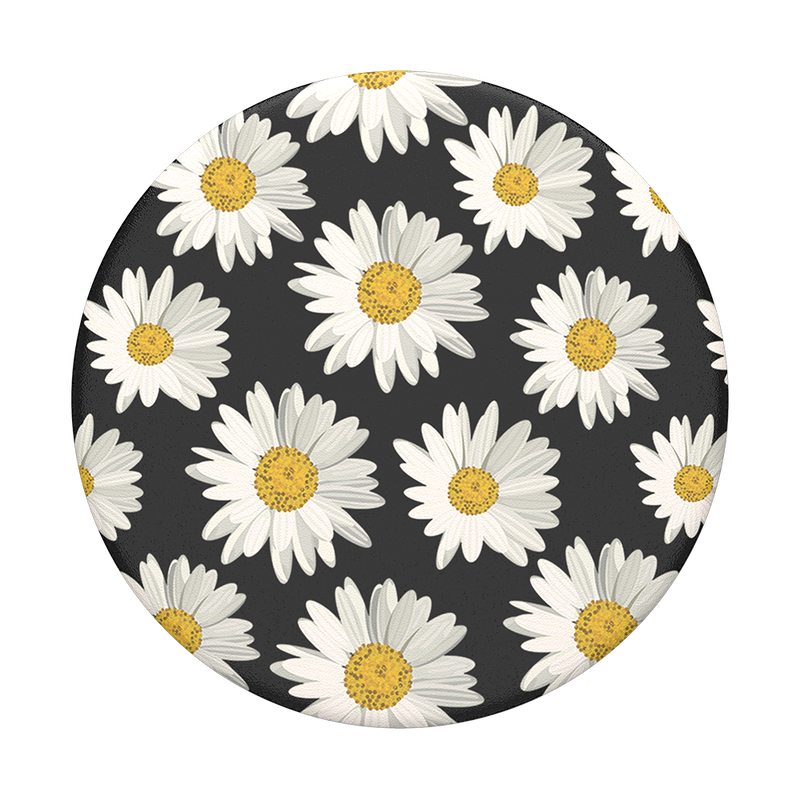 Daisies image number 0