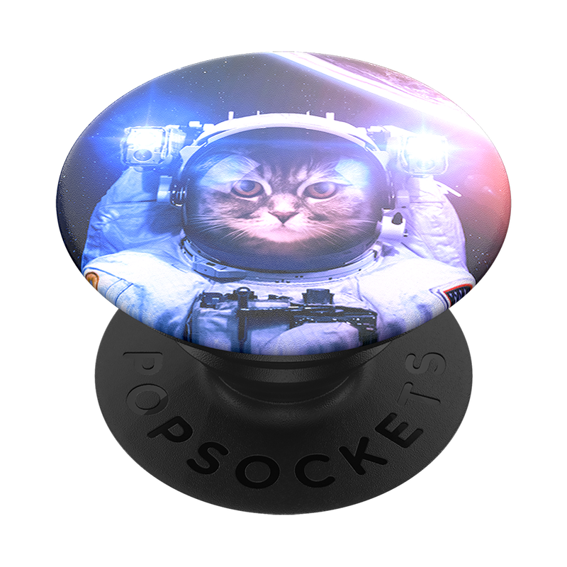 Gato astronauta image number 1