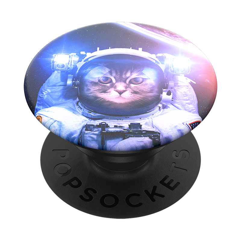 Gato astronauta image number 2