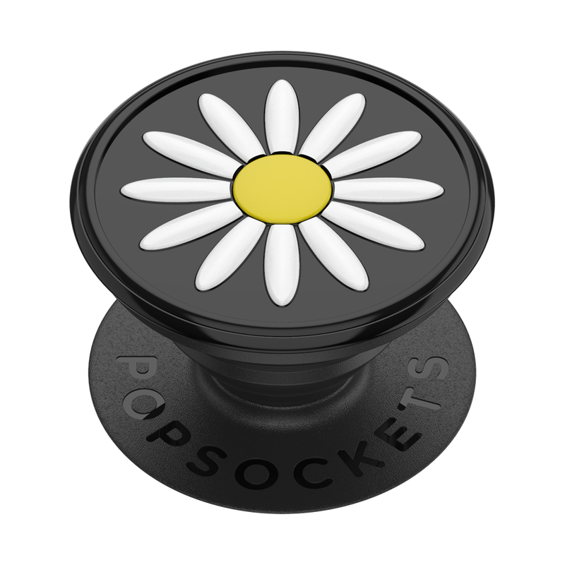 Festival Daisy image number 1