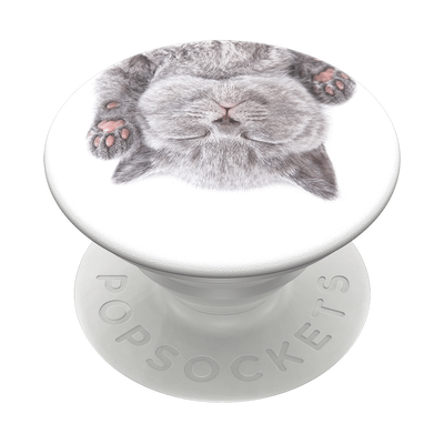 Secondary image for hover Siesta gatuna